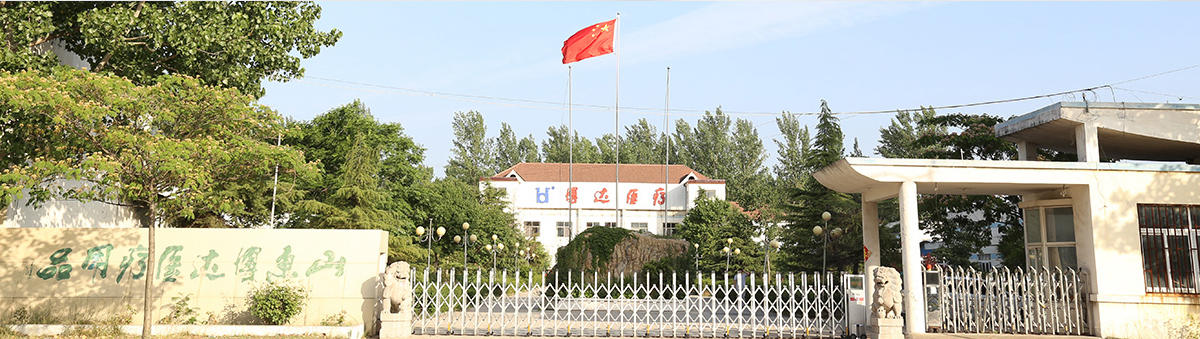 山東博達醫療用品股份有限公司